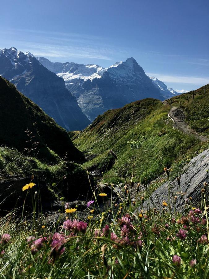 그린델발트 Silberhorn 아파트 외부 사진