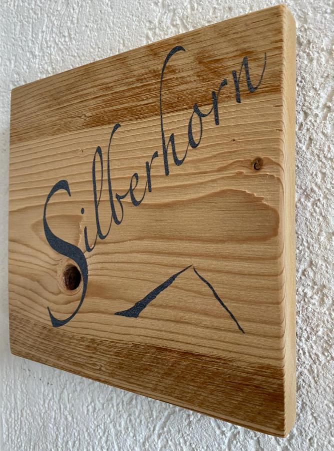 그린델발트 Silberhorn 아파트 외부 사진